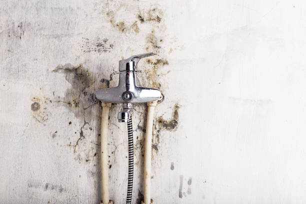 Best Emergency Mold Removal  in Dewart, PA