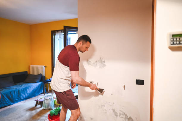 Best Attic Mold Removal  in Dewart, PA
